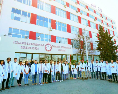 caucasus international university