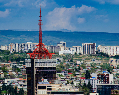 georgian national university (seu)