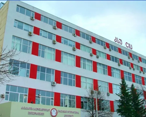 Caucasus International University georgia