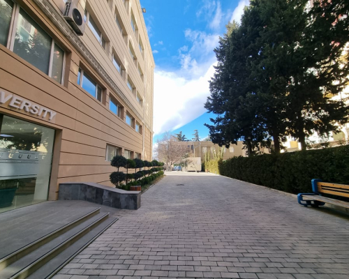 European University